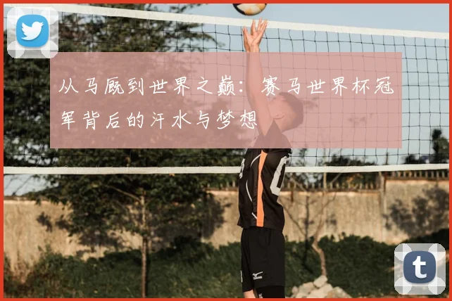 从马厩到世界之巅：赛马世界杯冠军背后的汗水与梦想
