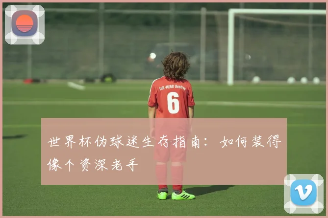 世界杯伪球迷生存指南:如何装得像个资深老手
